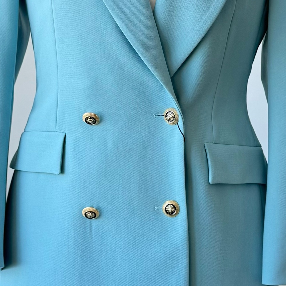 ZARA Hourglass Blazer. Brand New with tag. Large. - Picture 4 of 10